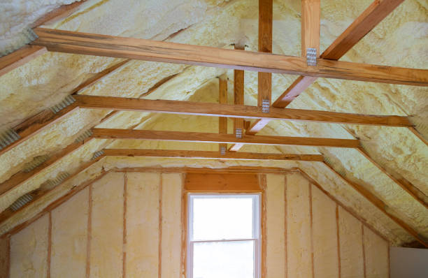 Best Cellulose Insulation in Towaoc, CO
