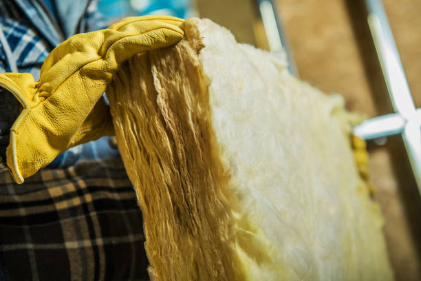 Best Eco-Friendly Insulation in Towaoc, CO